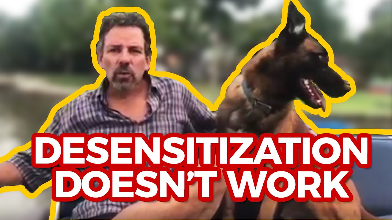 Dog Desensitization Doesn't Work!