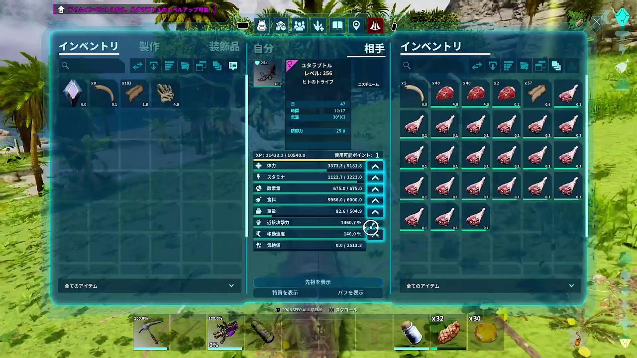ark