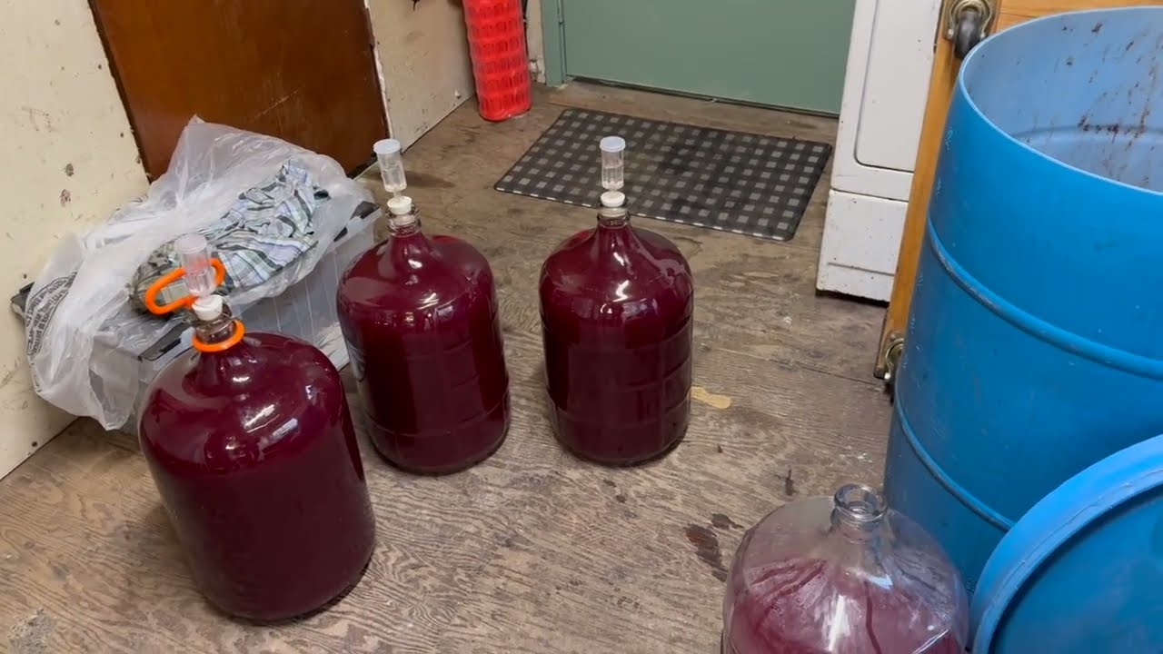 Wine making at Cougar Creek Ranch Part 4: Storing and clearing the wine