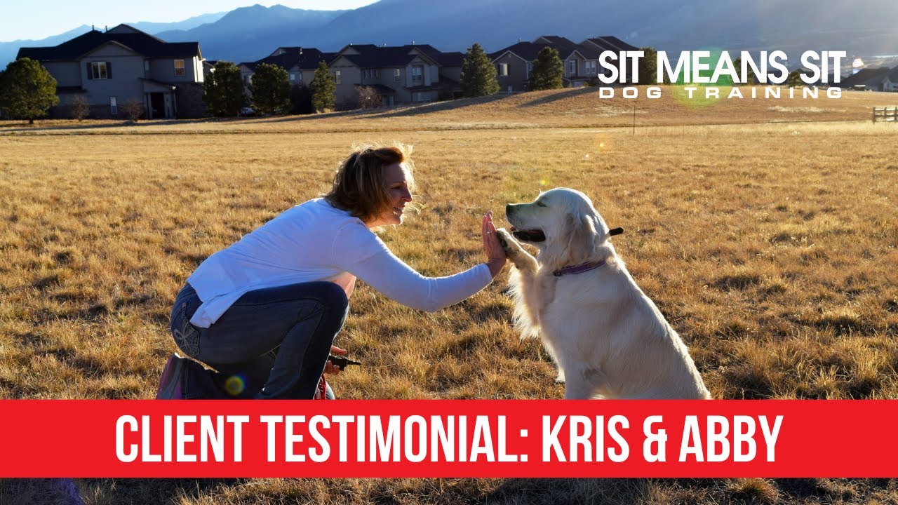 Kris & Abby | A Client Testimonial with Sit Means Sit Dog Training Colorado Springs