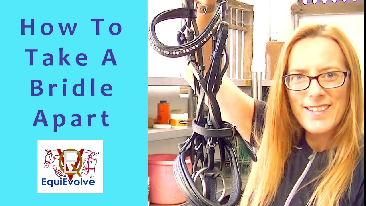 How To Assemble A Bridle