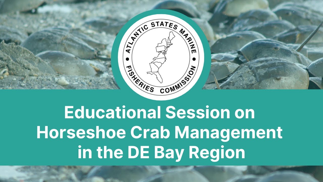Educational Session on Horseshoe Crab Management in the DE Bay Region: Part 2 - Jan 5