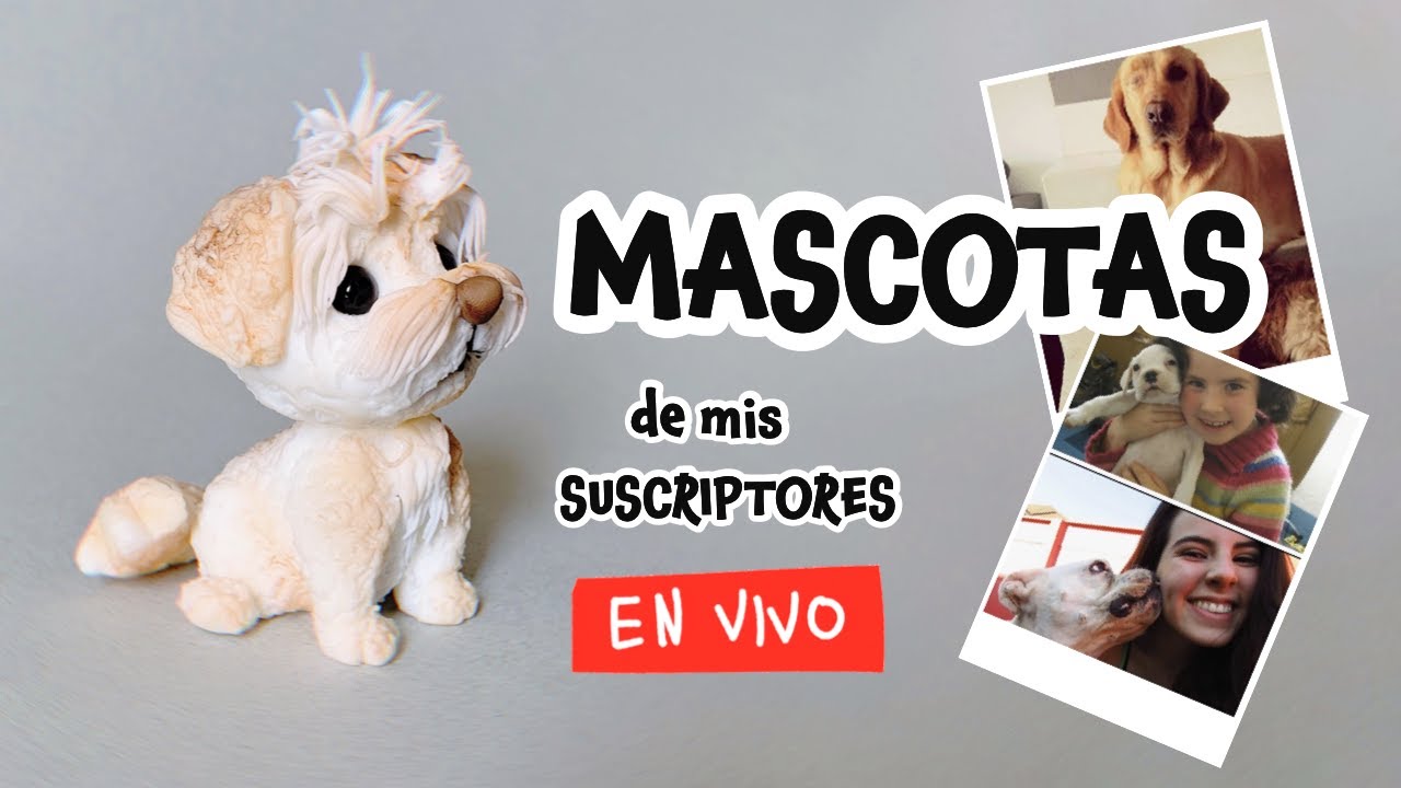 Haciendo Mascotas De Mis Suscriptores EN VIVO | Mis Mejores Ideas