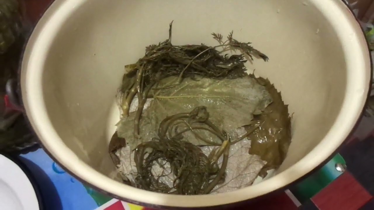 Sarmale in foi de viță cu sardine din conservă  (Ep.154)