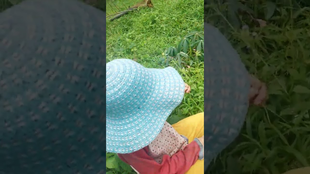 20240618 Kebun Danan