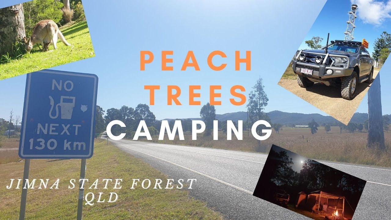 Solo camp at Peach Trees Camping Area, Jimna State Forest - Sunshine Coast | Camp Cooking DISASTER!