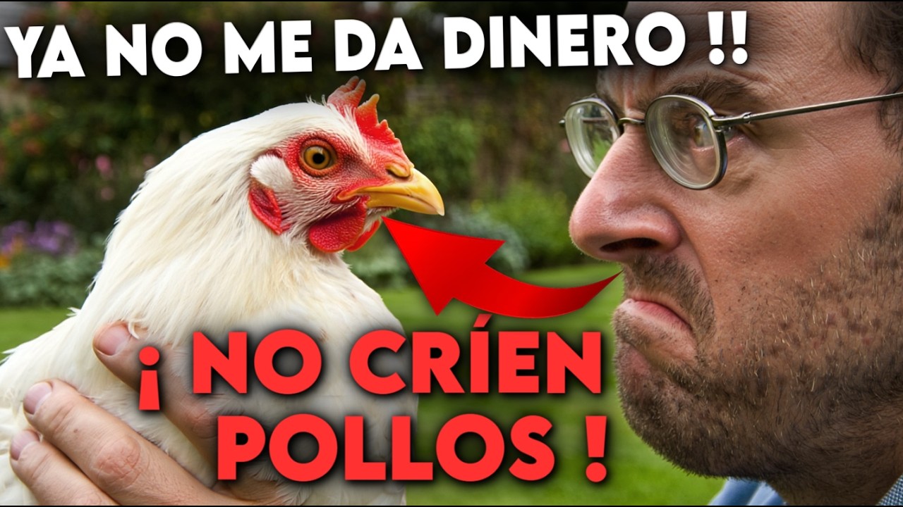 DEJA A LAS GALLINAS YA!! : Estos 7 Animales son Mucho Más RENTABLES en tu CAMPO