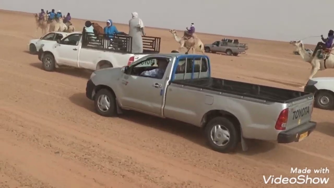 سباق المهاري ولاية تيميمون مسافة 12كيلو متر 2022/02/19