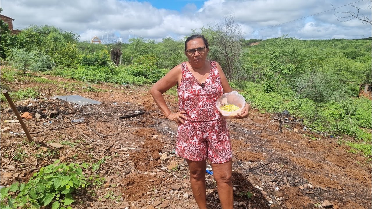 Plantando feijão e milho no sertão 🌽 🫘