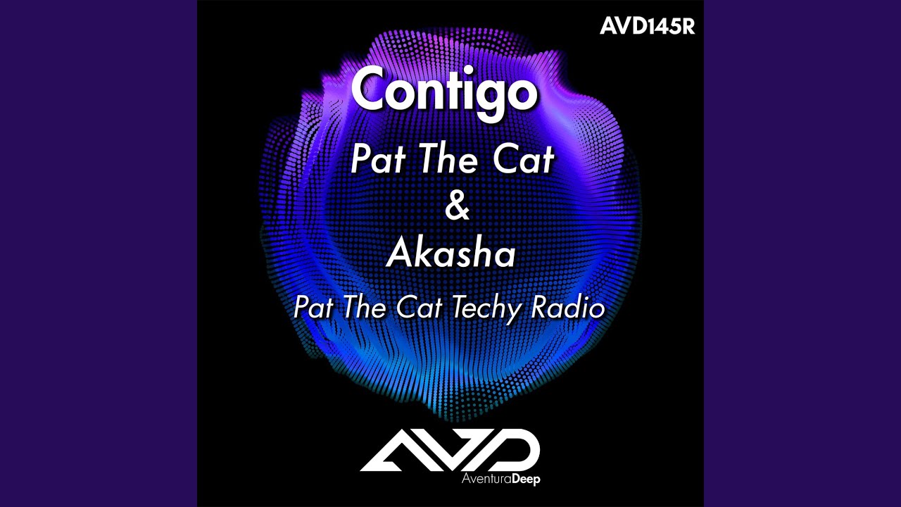 Contigo (Pat The Cat Techy Radio)