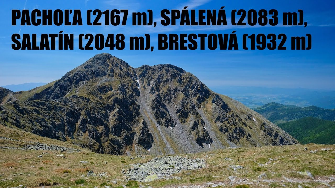 Pachoľa, Spálená, Salatín, Brestová