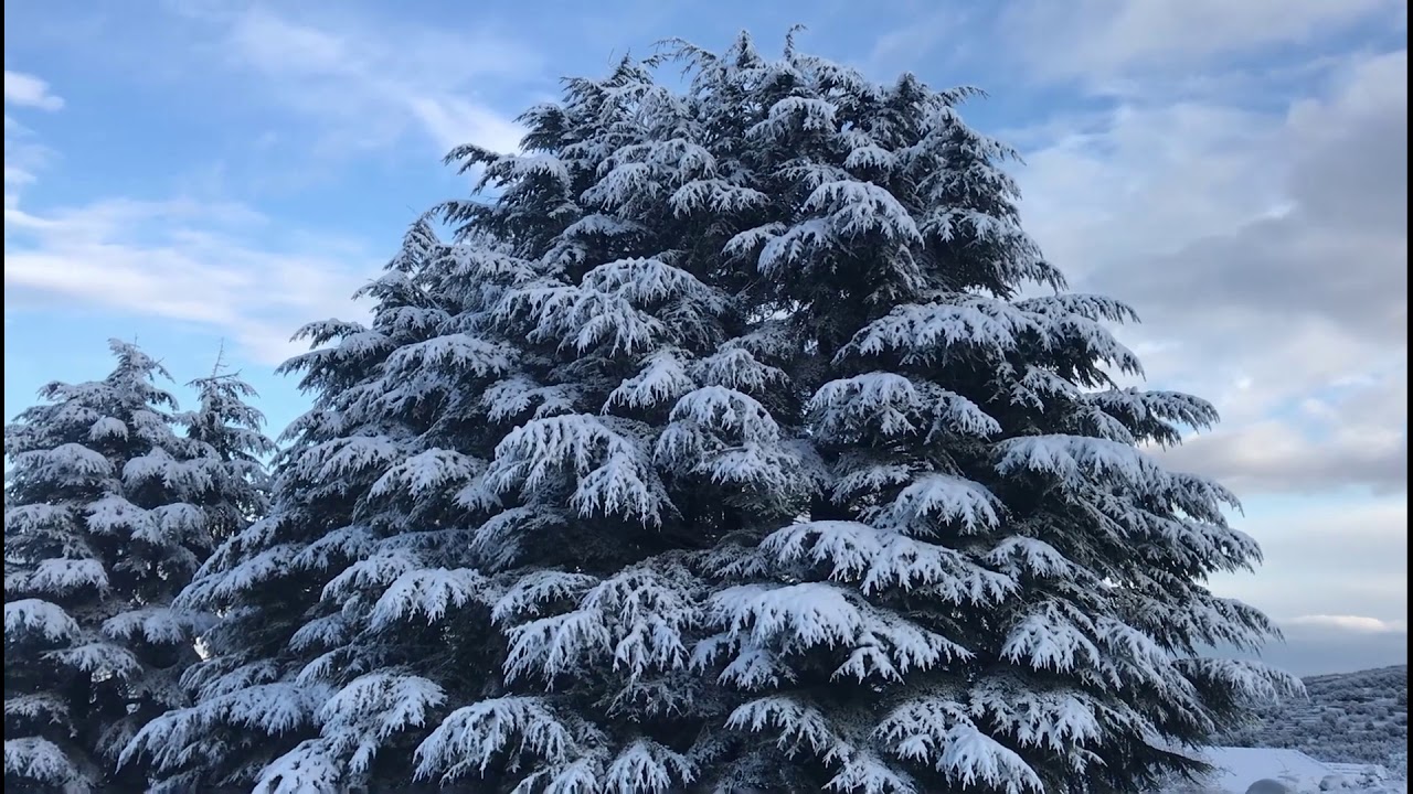 Snow in Mountains of Lebanon, Video: Pierre Abi Saad, Editing: William Matar - DiscoverLebanon.com