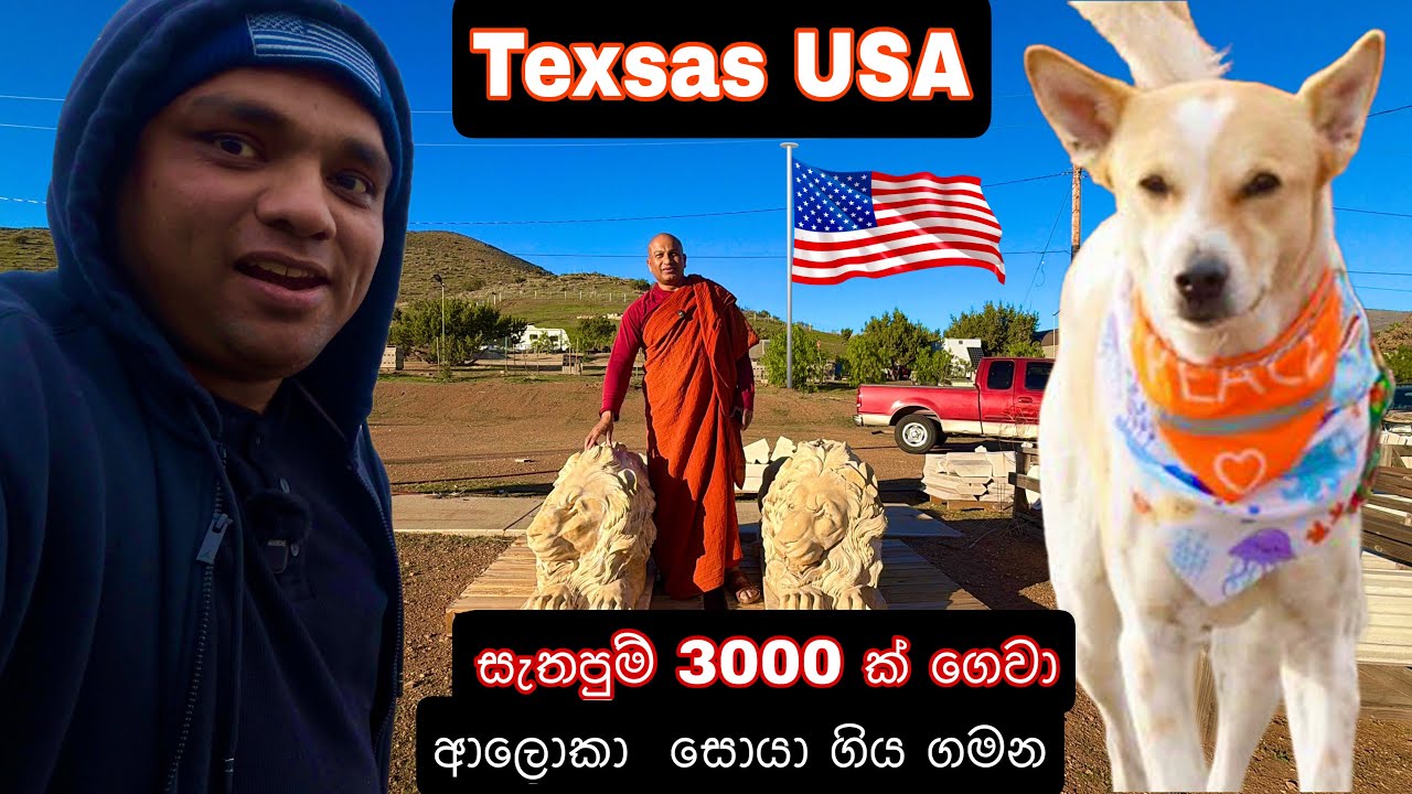 📍🇺🇸 Walk For Peace 🇺🇸 ප්‍රාන්ත පහක් හරහා ටෙක්සාස් පන්සල සොයා | Journey to Texas Buddhist Temple🙏