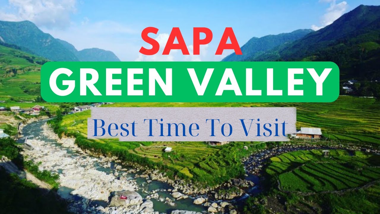 Sapa Green Rice Fields: The Best Time to Visit Revealed (June - Junly)