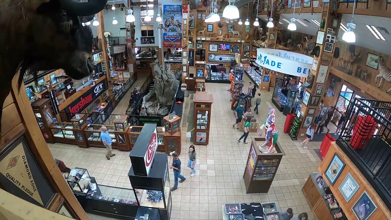 Live Feed at the World's Largest Knife Store 4/2/24 | Great Smoky Mountains