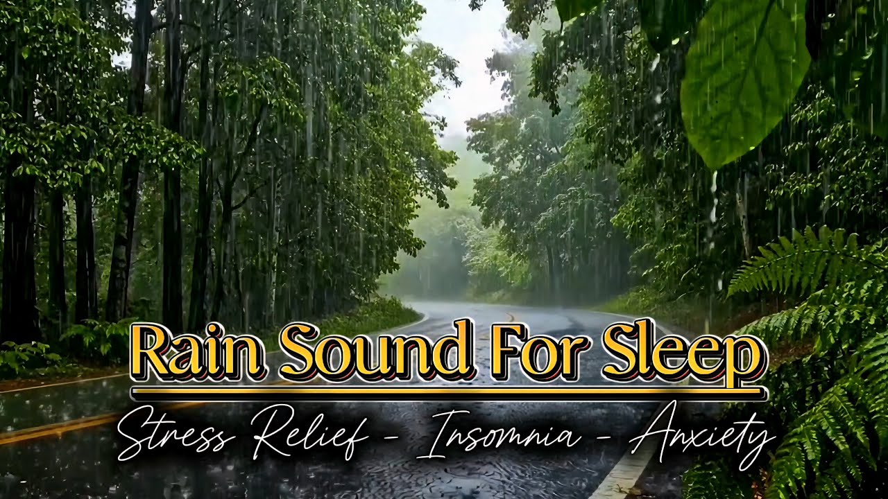 Listen to the Rain on the Forest Asphalt | Relaxing Rain Sounds in the Woods 🌧️🌿