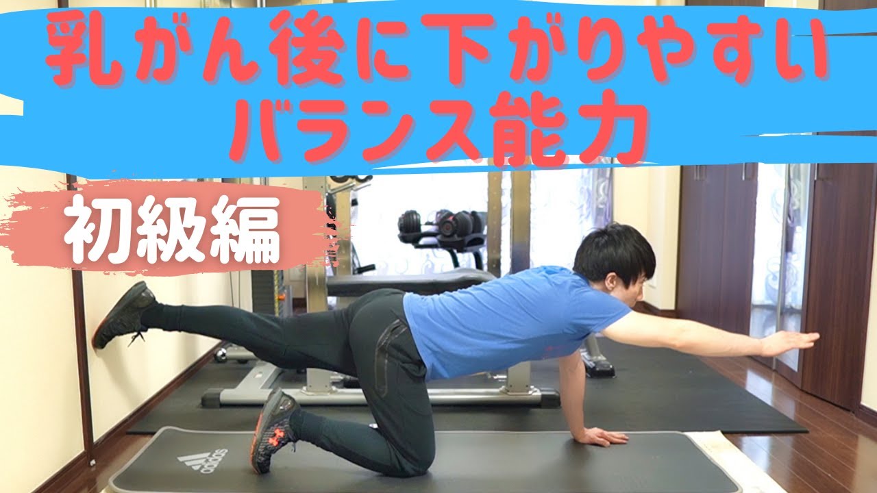 今のバランスを確かめよう！リハビリも兼ねた乳がん経験者向けの運動
