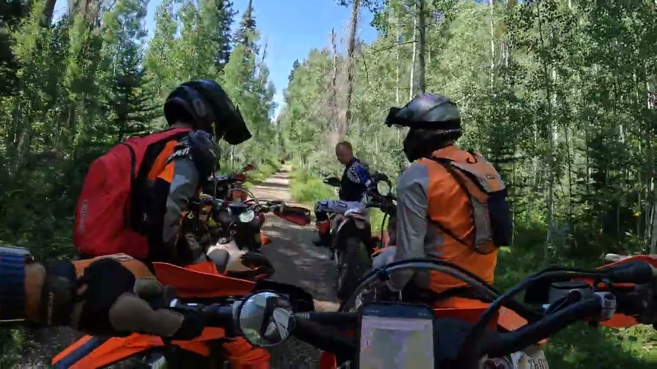 Mancos State Park 2024