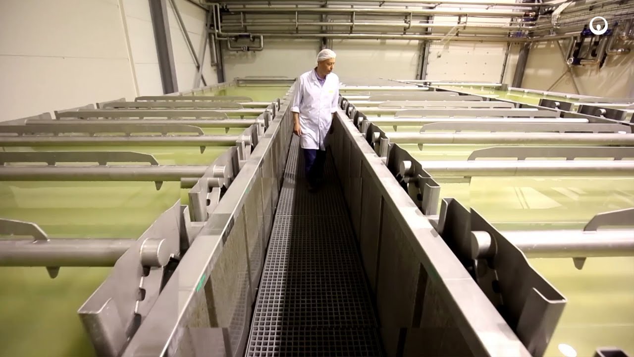 OSM Włoszczowa, Poland - Energy for food and beverage industry