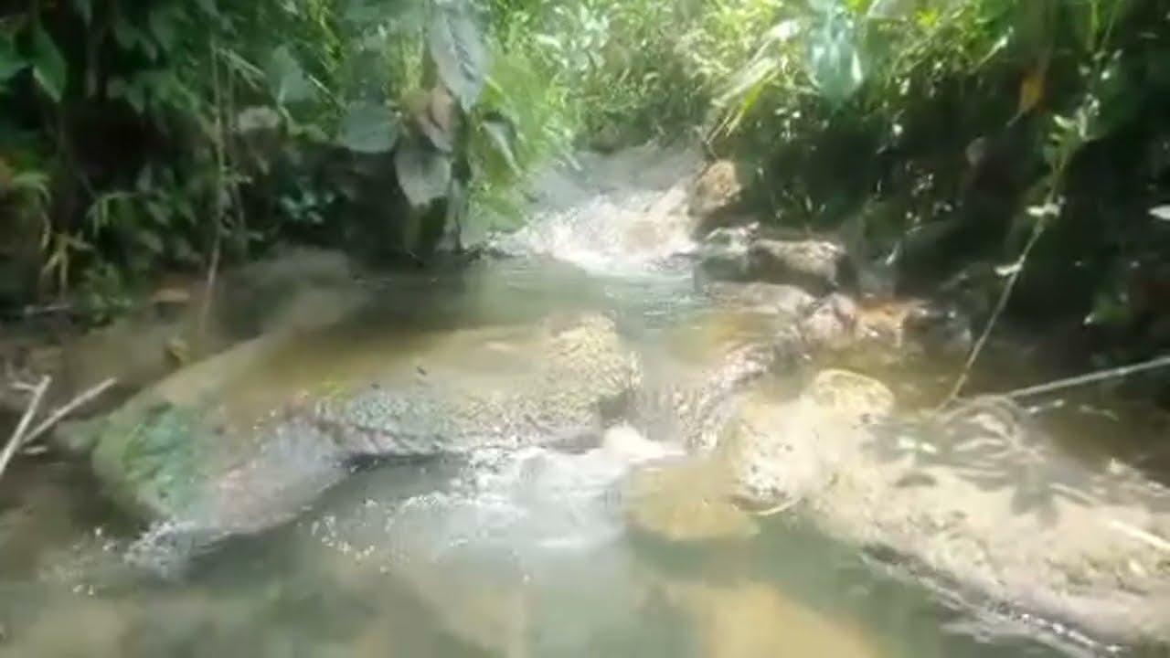 Live streaming Explore Petualang mencari ikan