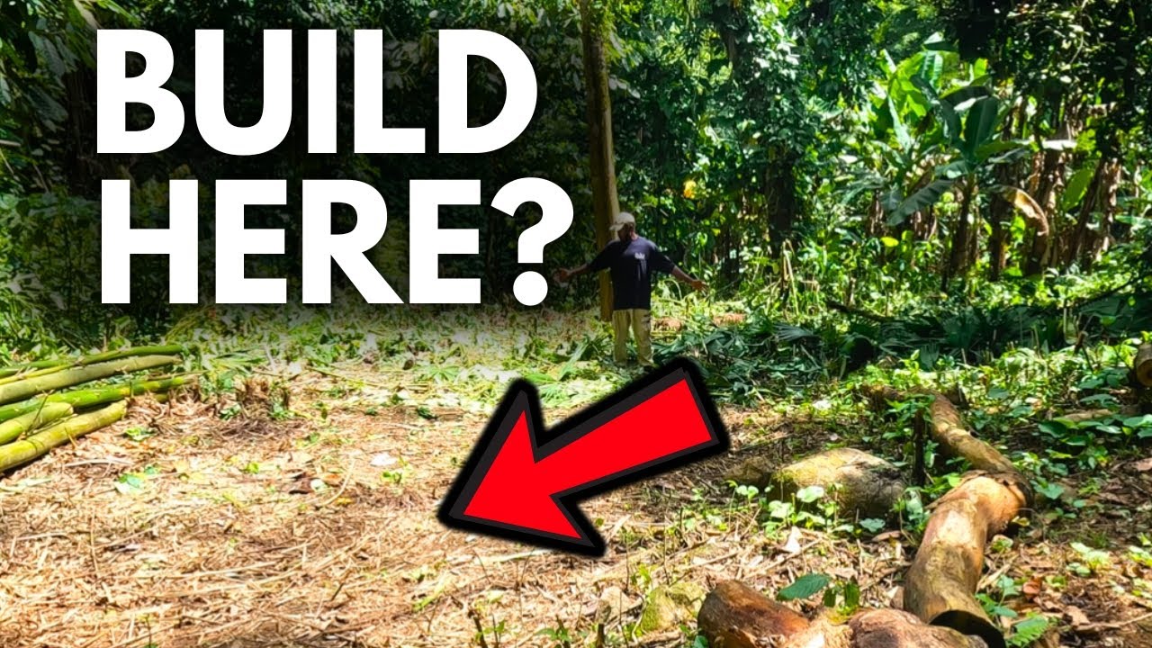 Rain and Setbacks for 3 WEEKS: Can We Build our Homestead Yet? | Off-Grid Jamaica
