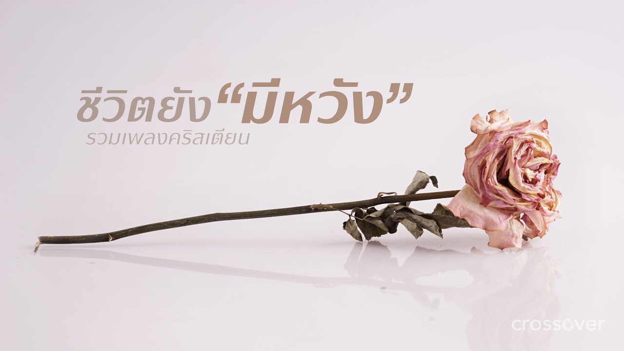 รวมเพลงคริสเตียน - ชีวิตยังมีหวัง [Official Audio]