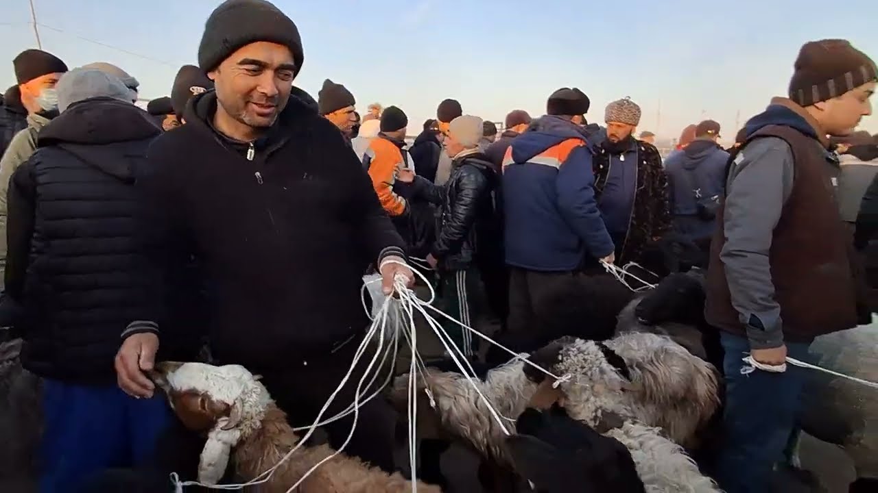 ШОВОТ ҚЎЙ БОЗОРИ 18-МАРТ ЕРТАЛАПКИ САВДОЛАР 