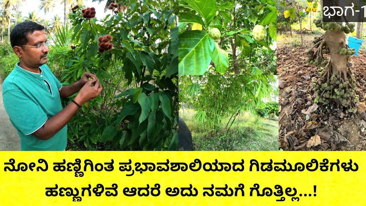 ಇವರ ತೋಟದ ಹೆಸರೇ 