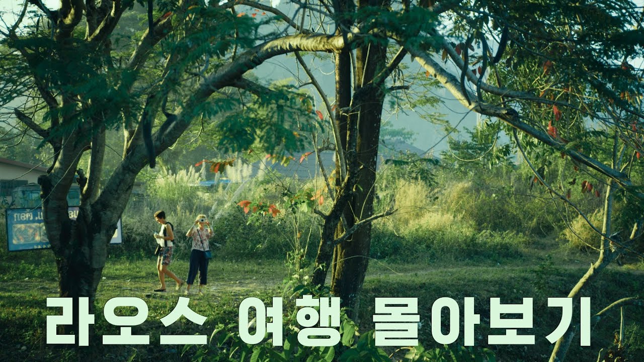 한국인들이 라오스에 많이 가는 게 못마땅했던 한국인 이야기 | 세계여행 에세이