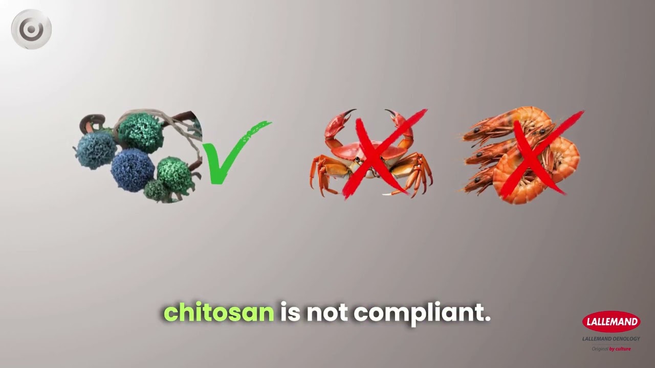 Confirming the authenticity of chitosan