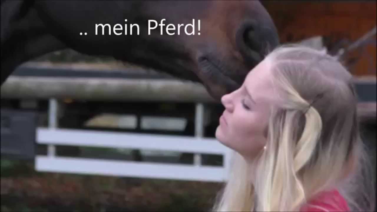 Du denkst also Reiten ist einfach..