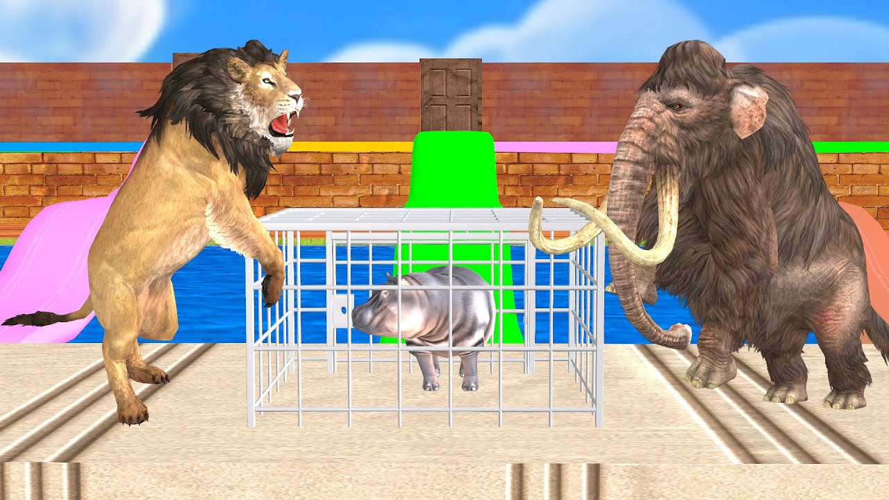 Choose The Right Door With Mammoth Elephant Cow Gorilla Lion Hippo Wild Animal Funny Games