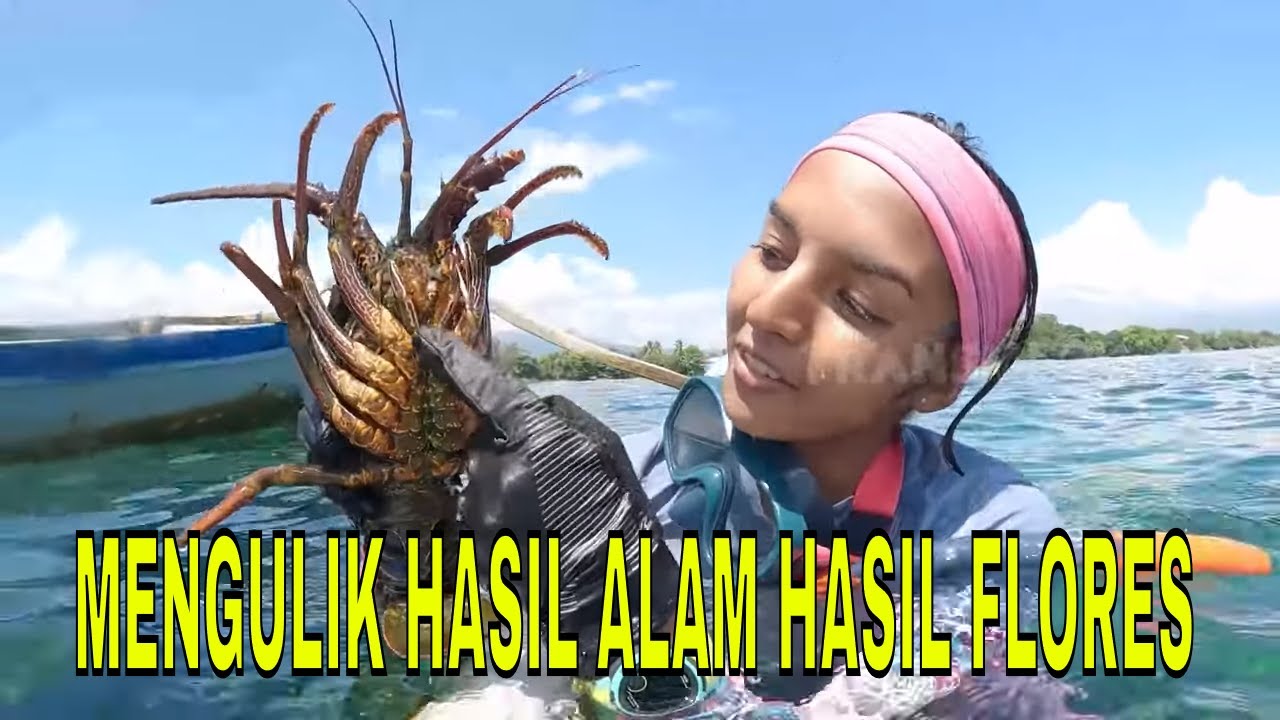 [FULL] MENGULIK HASIL ALAM HASIL FLORES | JEJAK PETUALANG (30/04/24)