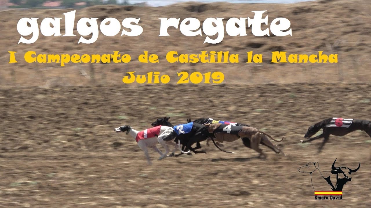 Campeonato de Regates de Castilla la Mancha, 2019