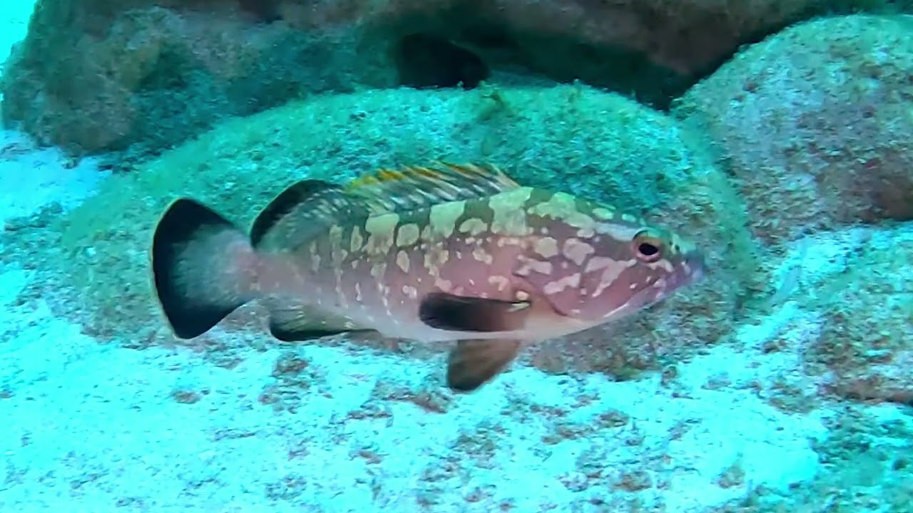KERI CAVES DIVING [4K][2023]