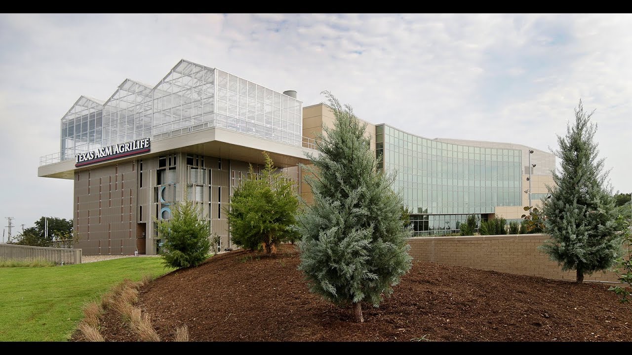 About the Texas A&M AgriLife Center at Dallas