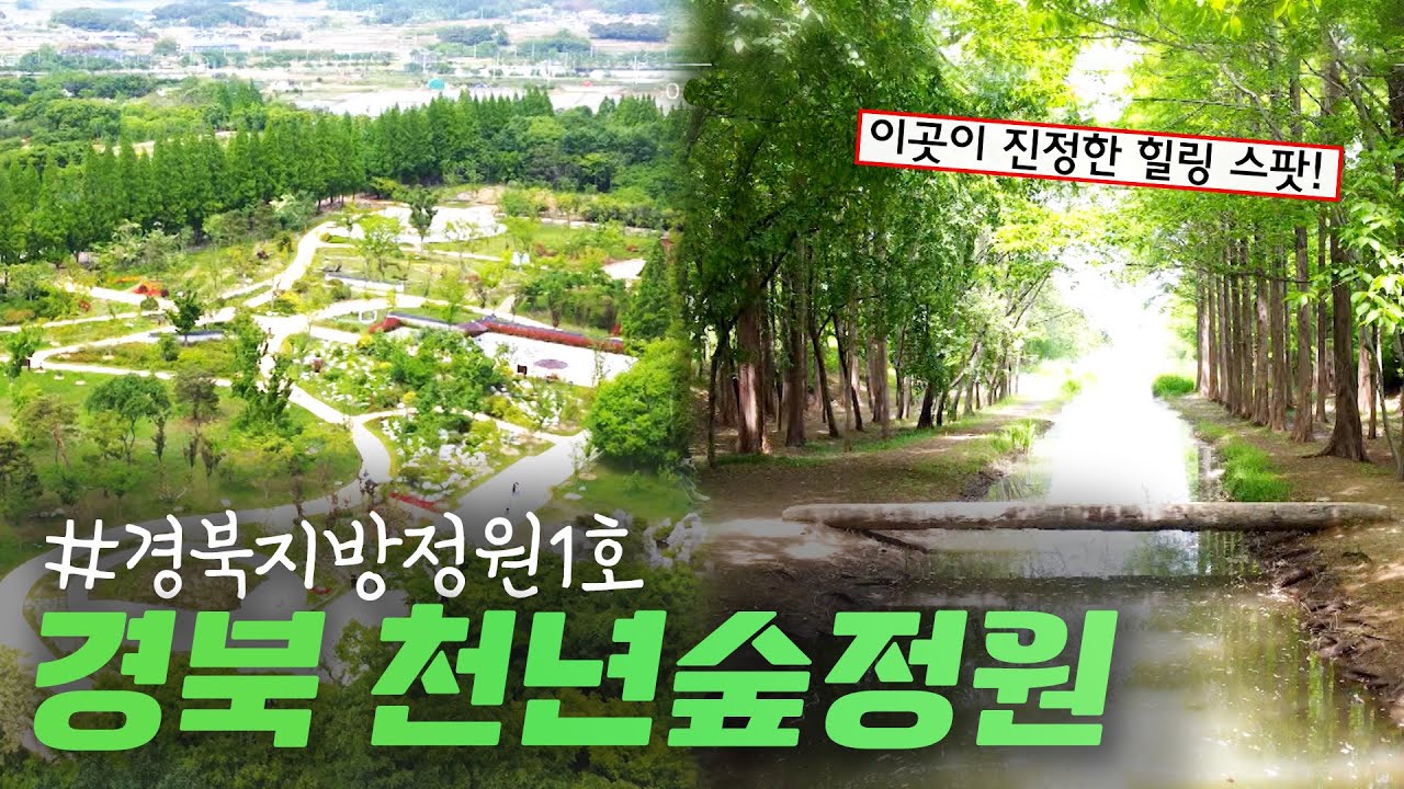힐링이 필요해? 경주 천년 숲 정원으로 ㄱㄱ│전국시대 230518 방송