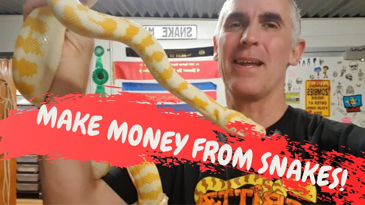 MAKE MONEY FROM SNAKES - CrittaCam
