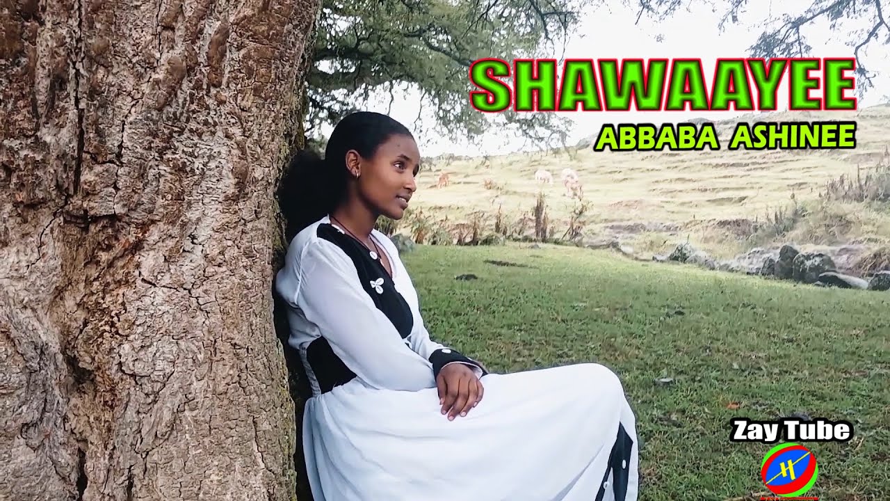 Abbaba Ashinee - Shawaayee - New Ethiopian Music - Oromo cultural video.