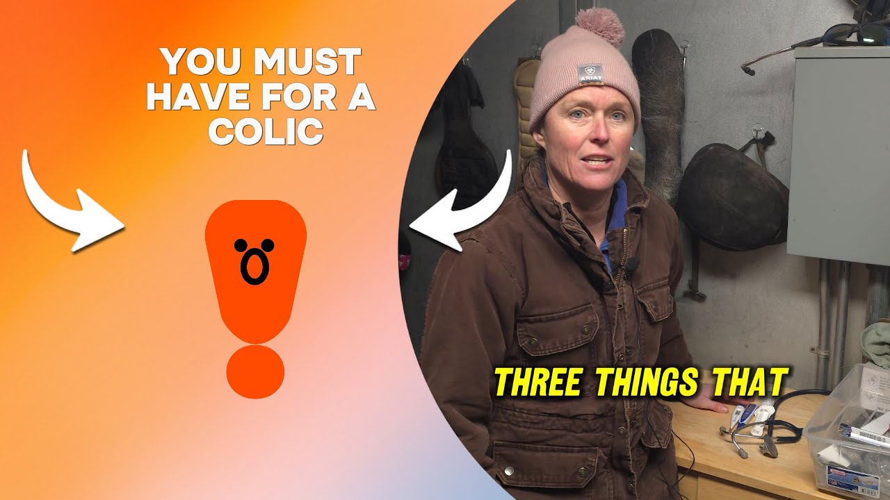 Horse Colic: three things you must have to be prepared!