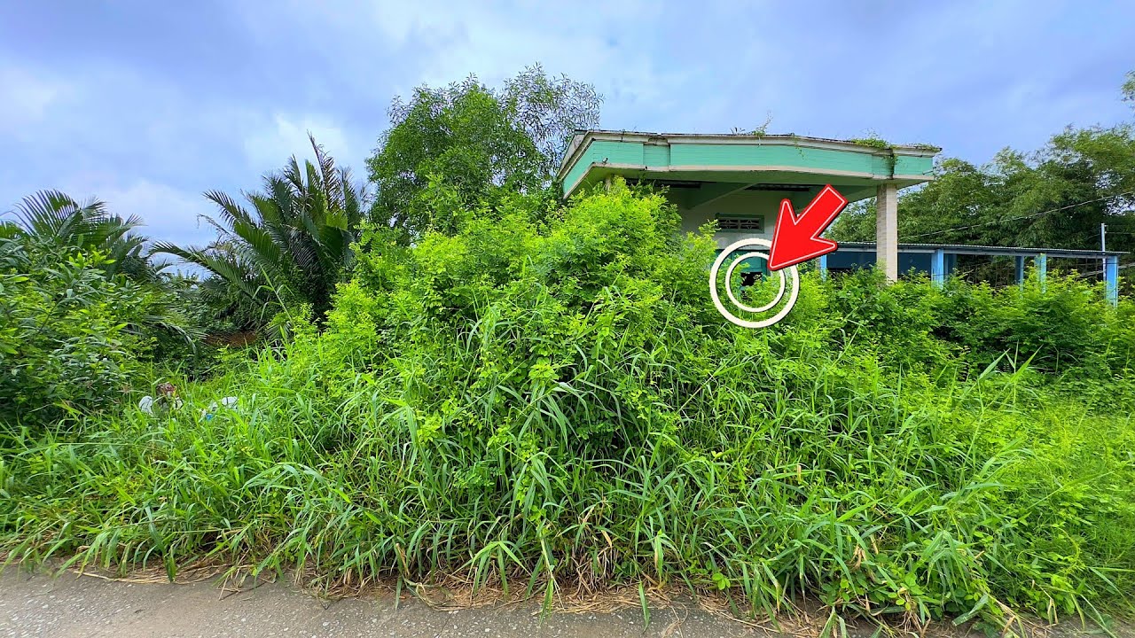 We Watched the First 5 Seconds Again and Again… Something Felt Seriously Wrong.