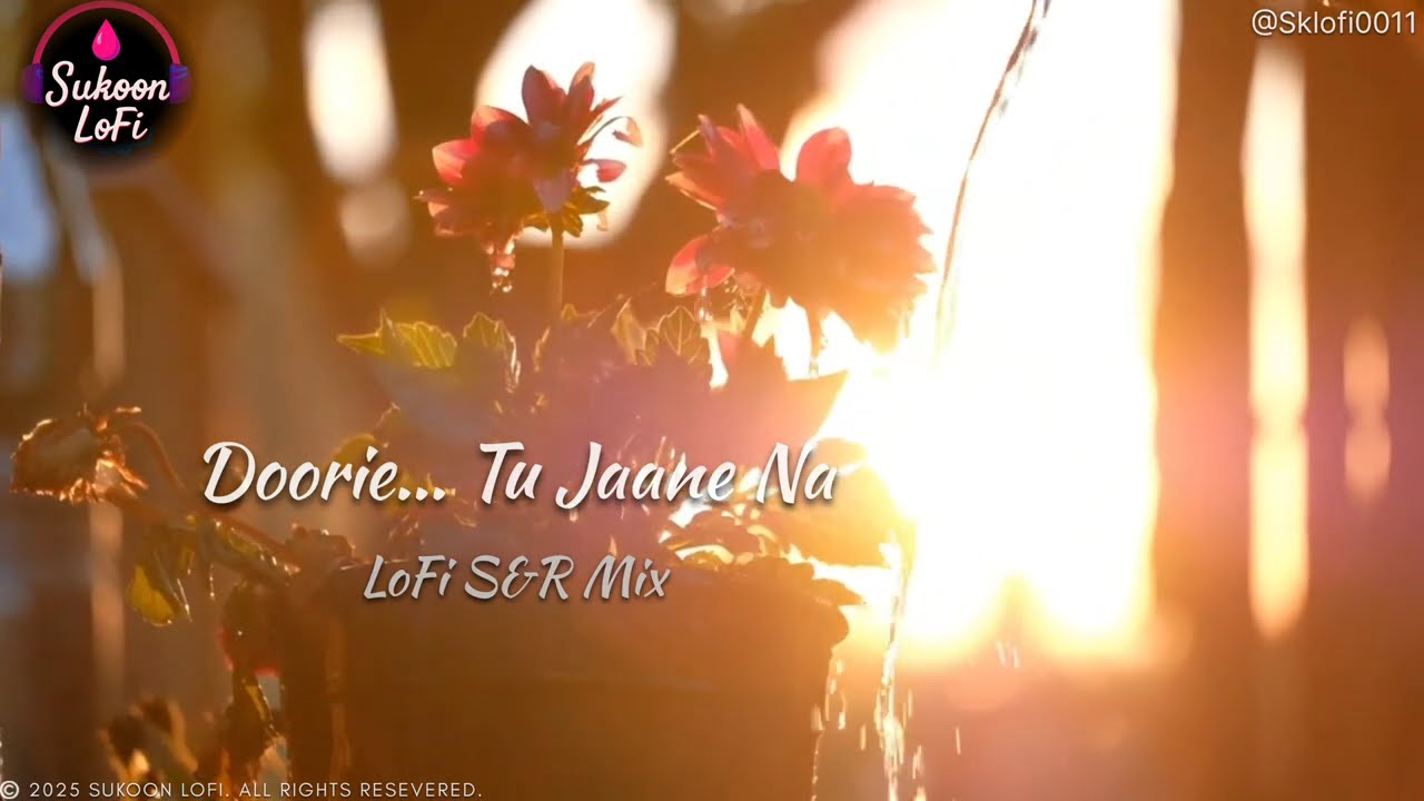 Doorie… Tu Jaane Na | LoFi S&R Mix | Bollywood Sad Mashup 2025