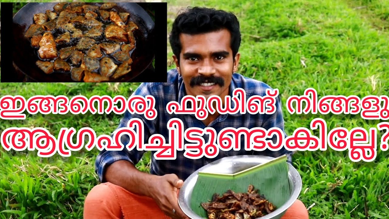 Village fishing and village fooding / തനി നാടൻ മീൻ പിടുത്തവും ഫുഡിങ്ങും