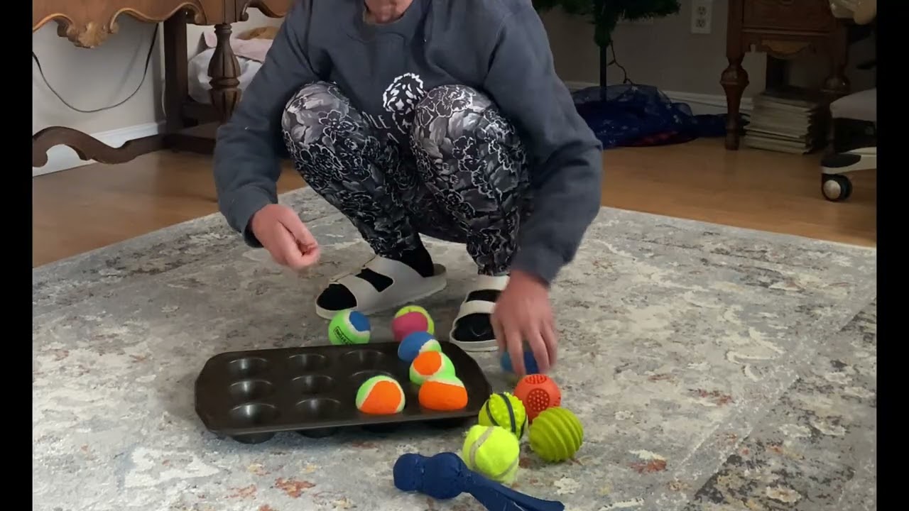 2 Indoor dog games with things you have around the house 