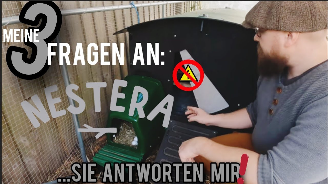 Warum ich  NESTERA geschrieben habe❗️(ANGEPINNTEN KOMMENTAR LESEN) || Hühner im Garten halten #10