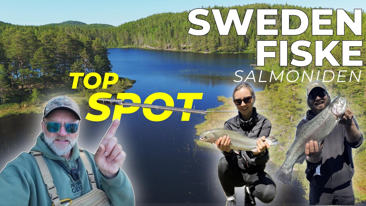 - Sweden Fiske - Topspot in Dalsland / Forellen / Edelfische / Traum Natur