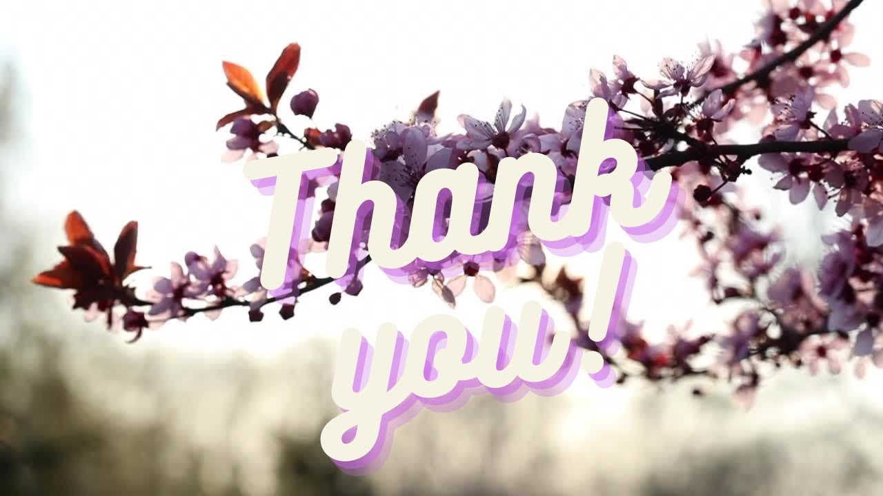 Subscriber appreciation +announcement