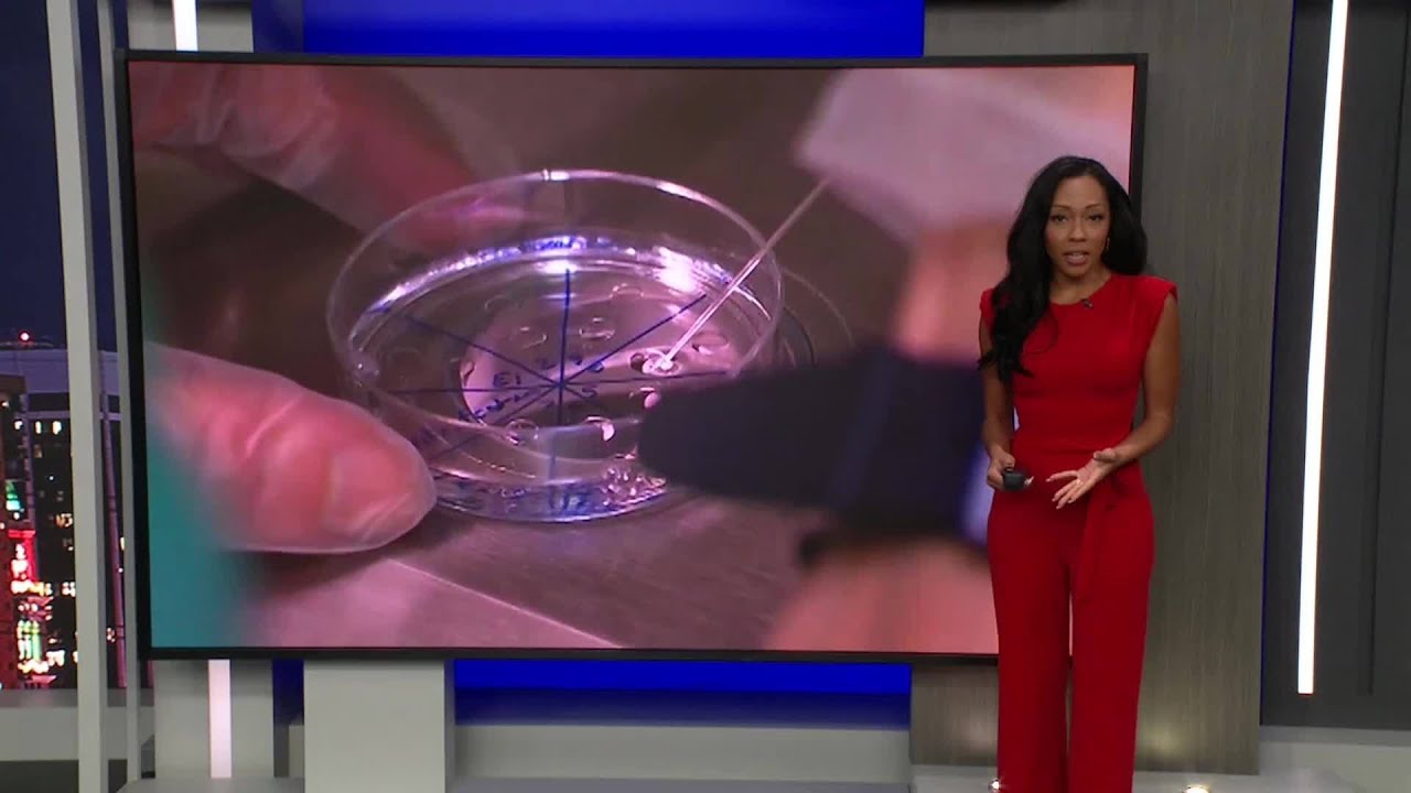 Trump moves to lower IVF costs with insurance guidance, drug agreement