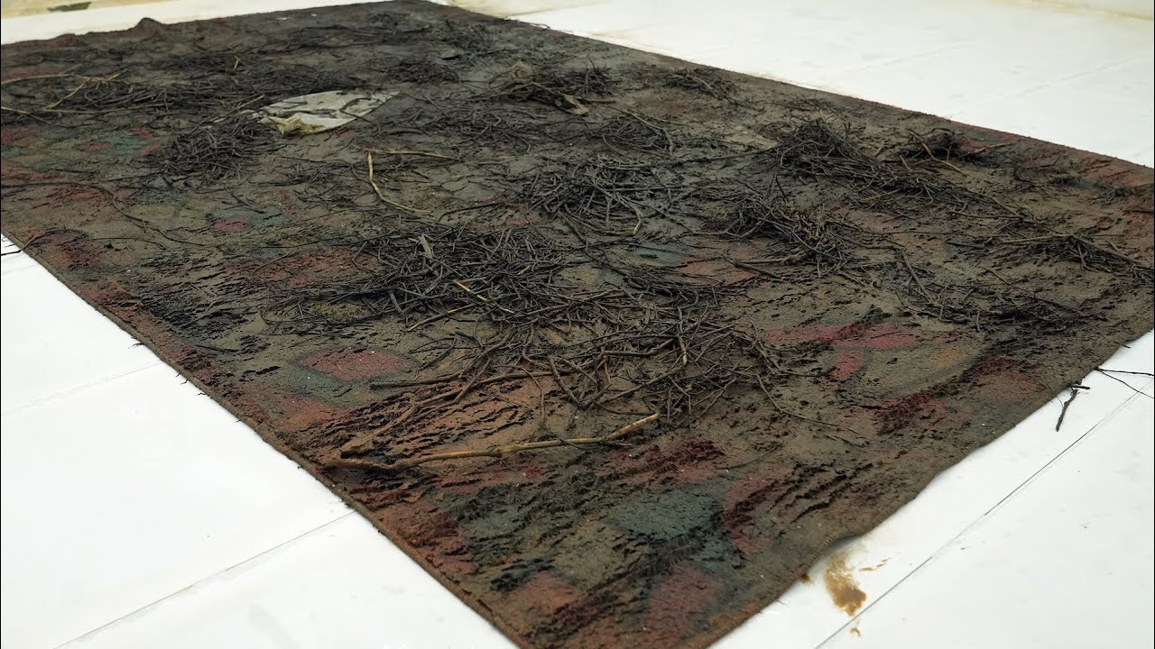 Abandoned Hotel Carpet After 20 Years – You Won’t Believe the Restoration - Carpet Cleaning ASMR