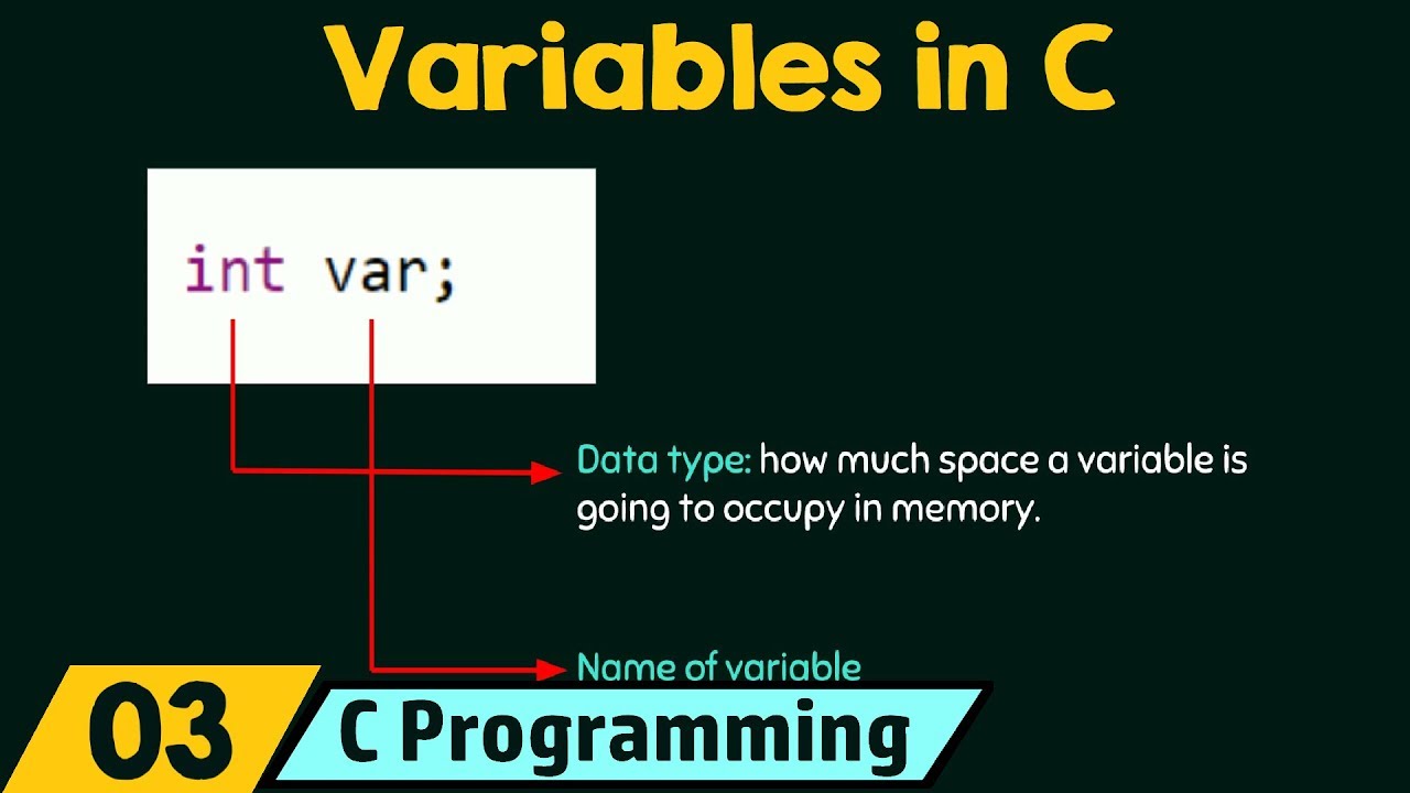 Introduction to Variables